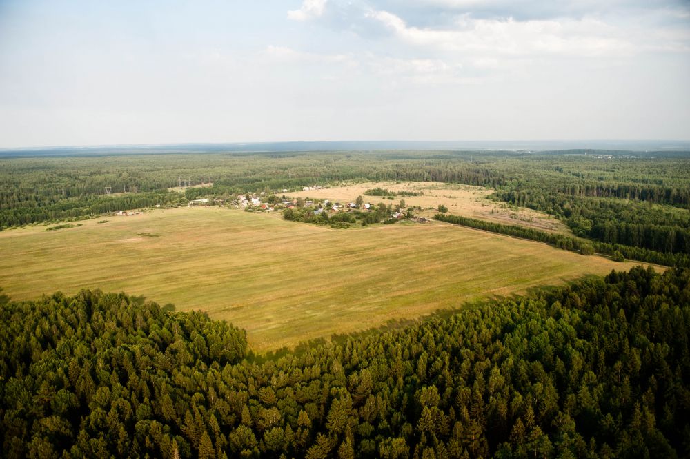 Заголовок